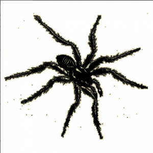 V/A - Tarantismo - Odyssey Of An Italian Ritual 2LP