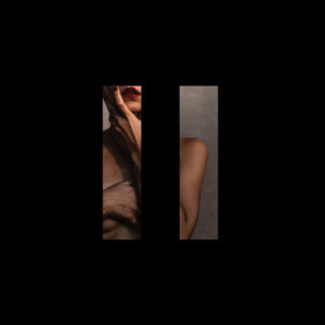 The Siids ‎– Brutalist