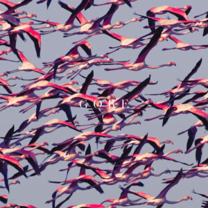 Deftones – Gore