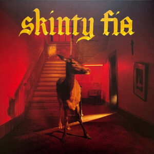 Fontaines D.C. – Skinty Fia