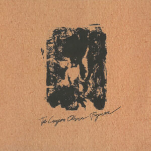 The Canyon Observer – Figura