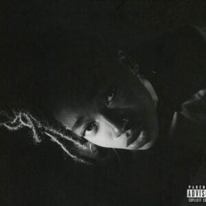 Little Simz – Grey Area