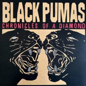Black Pumas – Chronicles Of A Diamond