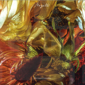 MrLee & IvaneSky – Magelli
